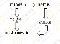 《中藥學(xué)綜合知識(shí)與技能》的藏象