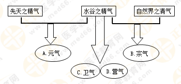 專業(yè)師資帶你學(xué)（八）：執(zhí)業(yè)藥師《中藥綜》生命活動的基本物質(zhì)！善用圖解！