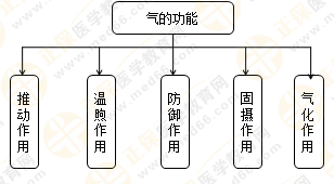 專業(yè)師資帶你學(xué)（八）：執(zhí)業(yè)藥師《中藥綜》生命活動的基本物質(zhì)！善用圖解！