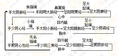 專業(yè)師資帶你學(xué)（九）：執(zhí)業(yè)藥師《中藥綜》經(jīng)絡(luò)與經(jīng)絡(luò)系統(tǒng)！5圖2表！