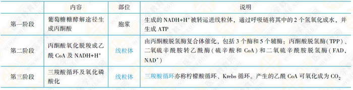 糖的分解代謝和有氧氧化