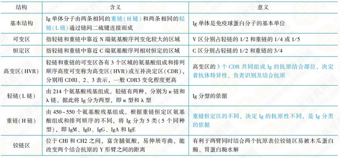 免疫球蛋白的結(jié)構(gòu)和功能