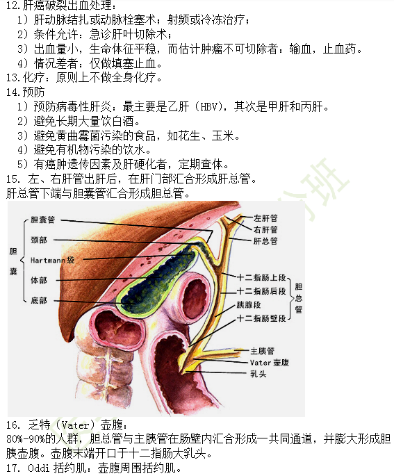 30個有關(guān)肝炎、膽囊炎相關(guān)考點匯總-臨床執(zhí)業(yè)醫(yī)師消化系統(tǒng)第九期！