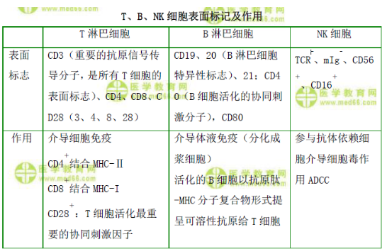 T、B、NK細胞表面標記及作用