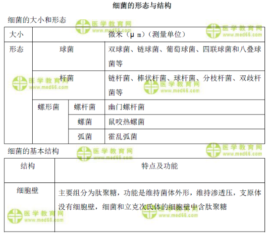 細(xì)菌的形態(tài)與結(jié)構(gòu)