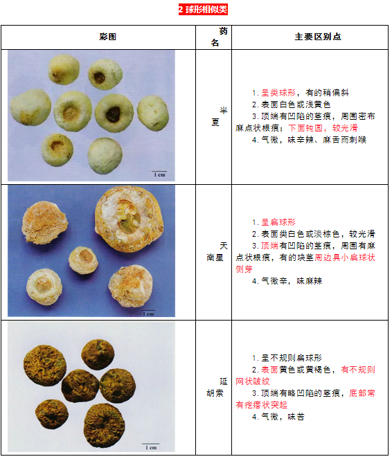 每日沖刺計(jì)劃！2019執(zhí)業(yè)藥師《中藥學(xué)專業(yè)知識(shí)二》第一篇！