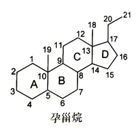 【西藥三科】執(zhí)業(yè)藥師考試西藥三科出題規(guī)律｜重難點匯總！