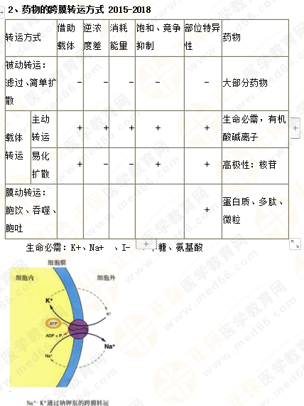 2019年執(zhí)業(yè)藥師《藥一》的藥劑學(xué)，15分鐘經(jīng)典回顧！