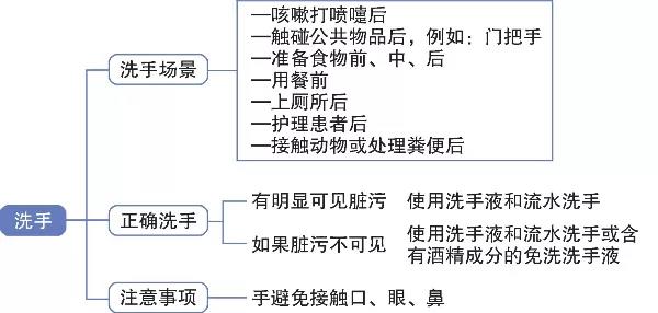 洗手的注意事項