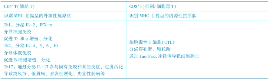 T淋巴細(xì)胞亞群及其功能