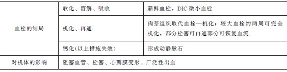 血栓的結(jié)局和對機體影響