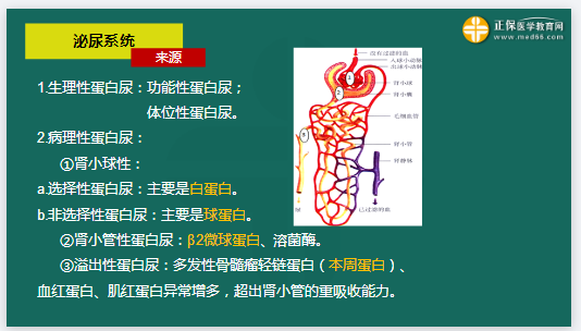 生理學蛋白尿