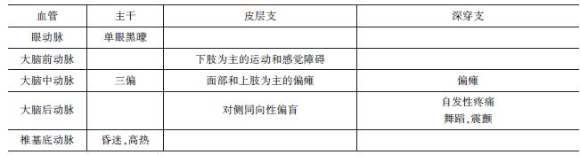 不同動(dòng)脈支配區(qū)梗死的臨床表現(xiàn)