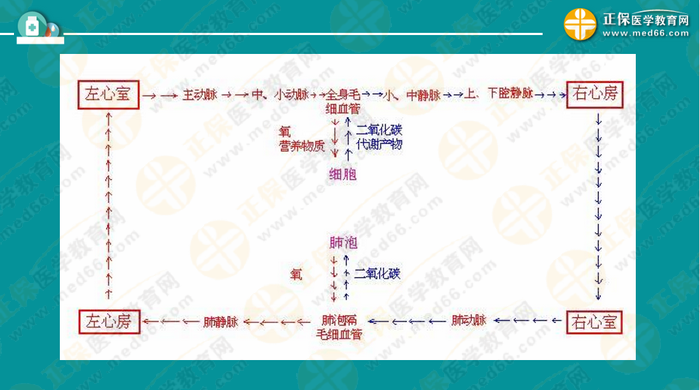 醫(yī)療衛(wèi)生考試筆試備考指導來了，共計2863頁書！怎么學？