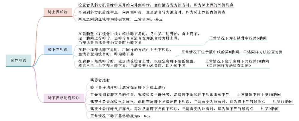 體格檢查——肺界叩診、肺下界移動(dòng)度叩診