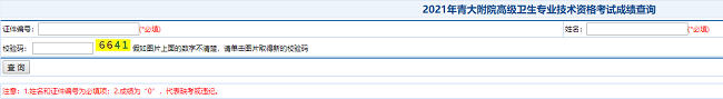 2021年青大附院高級衛(wèi)生專業(yè)技術資格考試成績查詢入口