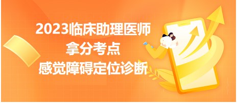 2023臨床助理醫(yī)師拿分考點(diǎn)感覺障礙定位診斷