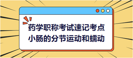 小腸的分節(jié)運動和蠕動-2024藥學(xué)職稱考試速記考點