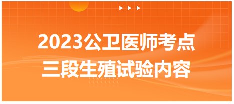 2023公衛(wèi)醫(yī)師考點-三段生殖試驗內容