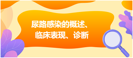 尿路感染的概述、臨床表現、診斷