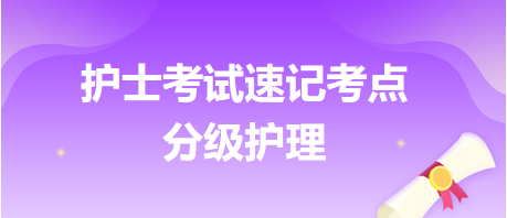 2024護(hù)士執(zhí)業(yè)資格考試速記考點(diǎn)：分級(jí)護(hù)理