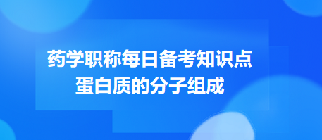 蛋白質(zhì)的分子組成-2024藥學(xué)職稱考試每日備考知識點(diǎn)