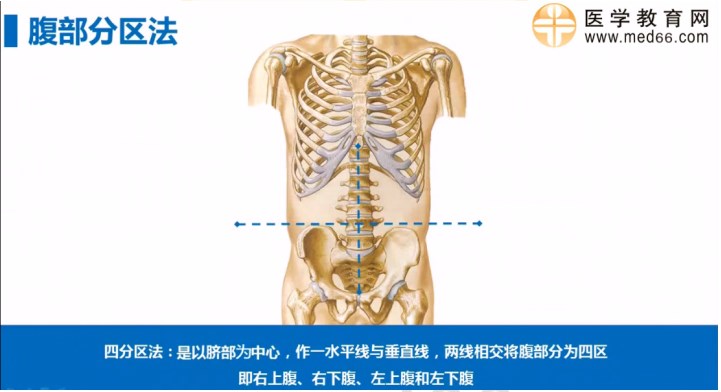 腹部四分區(qū)法