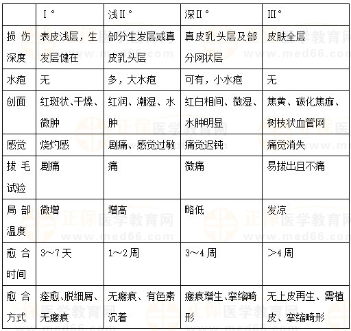 燒傷深度的識別