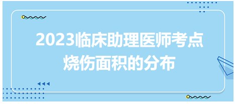 燒傷面積的分布