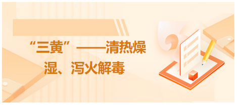 “三黃”——清熱燥濕、瀉火解毒